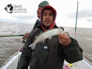 170529 PEJES EN RIO URUGUAY8