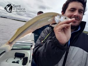 170529 PEJES EN SAN PEDRO