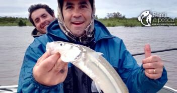 29/05/17 Llegaron los Pejes a San Pedro 170529 PEJES EN SAN PEDRO dest