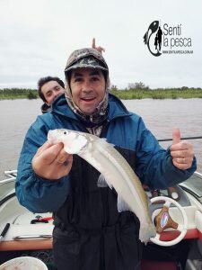170529 PEJES EN SAN PEDRO1