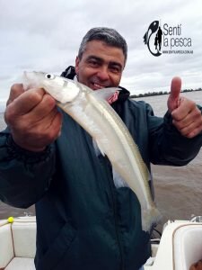 170529 PEJES EN SAN PEDRO2