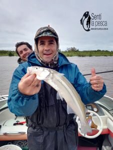170529 PEJES EN SAN PEDRO4