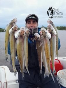 170529 PEJES EN SAN PEDRO7