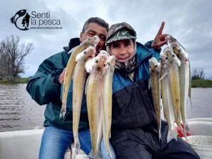 170529 PEJES EN SAN PEDRO8
