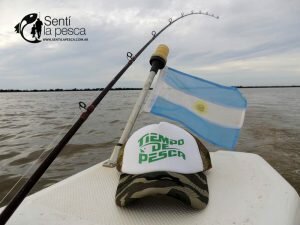 170529 SURUS EN PASO DE LA PATRIa0