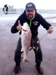 170529 VISITAMOS LA ARENERA DEL FARO