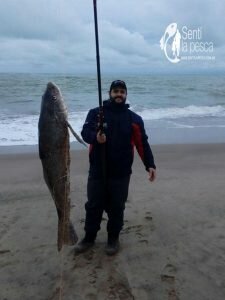 170529 VISITAMOS LA ARENERA DEL FARO1