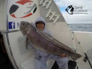 170531 EMBARCADOS EN MDQ