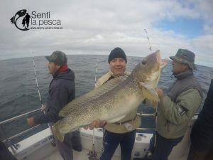 170531 EMBARCADOS EN MDQ1