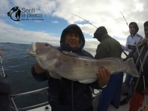 170531 EMBARCADOS EN MDQ3