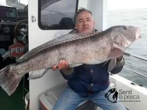 170531 EMBARCADOS EN MDQ4