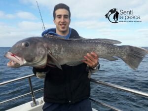 170531 EMBARCADOS EN MDQ6