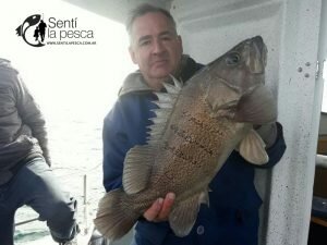 170531 EMBARCADOS EN MDQ9