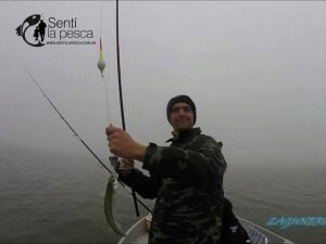 170607 PEJES EN LAGUNA EL TORO4