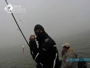 170607 PEJES EN LAGUNA EL TORO7
