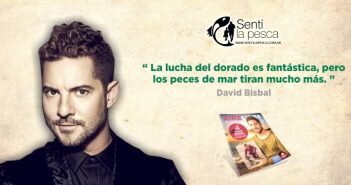 FAMOSOS David Bisbal dest