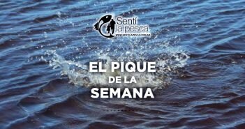 PIQUE DE LA SEMANA dest001