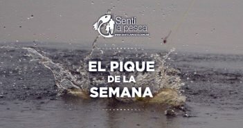 19/05/17 El Pique de la Semana PIQUE SEMANA dest002