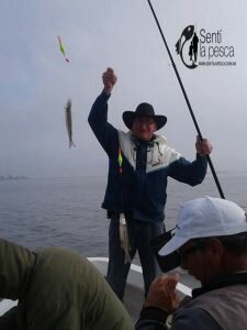 060617 Buena calidad de pejerrey (3)