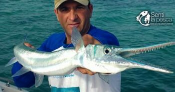 170106 LOS ROQUES VENEZUELA dest