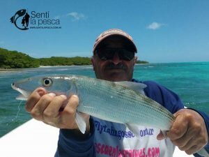170106 LOS ROQUES VENEZUELA19