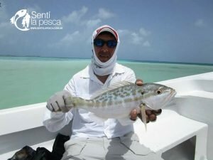 170106 LOS ROQUES VENEZUELA26