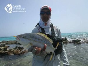 170106 LOS ROQUES VENEZUELA27