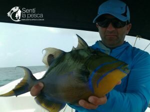 170106 LOS ROQUES VENEZUELA3