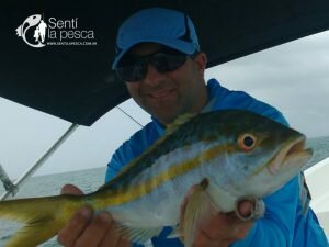 170106 LOS ROQUES VENEZUELA4