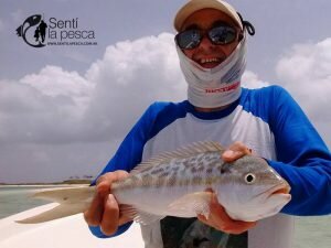 170106 LOS ROQUES VENEZUELA8
