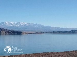 170506 GRAN PEJE EN DIQUE CUESTA DEL VIENTO5