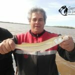 170601 PEJES EN EL GUAZU (2)