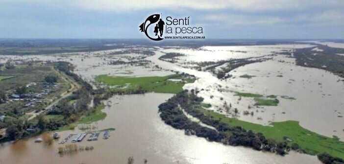 170602 El río Uruguay crece y hay complicaciones dest