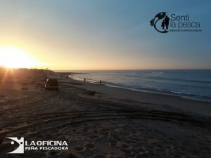 170605 ESCARDONES EN MAR del SUD