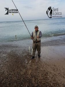 170605 ESCARDONES EN MAR del SUD10