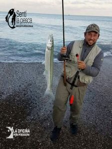 170605 ESCARDONES EN MAR del SUD2