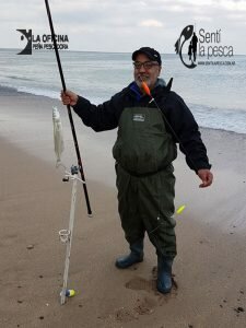 170605 ESCARDONES EN MAR del SUD7