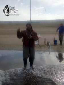 170605 ESCARDONES EN NECOCHEA1