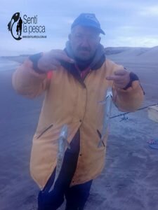 170605 ESCARDONES EN NECOCHEA3