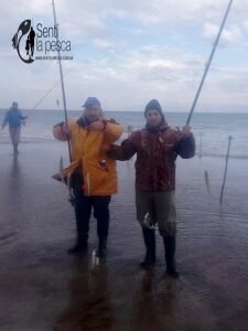 170605 ESCARDONES EN NECOCHEA4