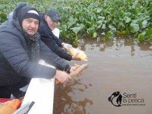 170605 MEJORA EL PIQUE DE DORADOS5