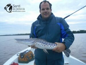170605 MEJORA EL PIQUE DE DORADOS8