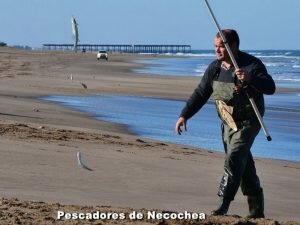170605 PEJES EN EL MOLINO5