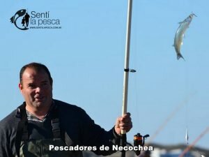 170605 PEJES EN EL MOLINO6