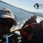 170605 PEJES EN LAGO SAN ROQUE4