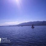 170605 PEJES EN LAGO SAN ROQUE7