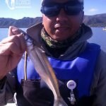 170605 PEJES EN LAGO SAN ROQUE8