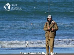 170605 PIQUE EN PUNTA NEGRA10