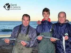 170605 PIQUE EN PUNTA NEGRA3