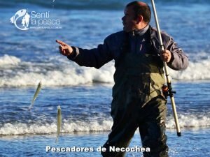 170605 PIQUE EN PUNTA NEGRA4